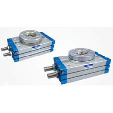 Rotary Cylinder Angle Adjustable RCQ